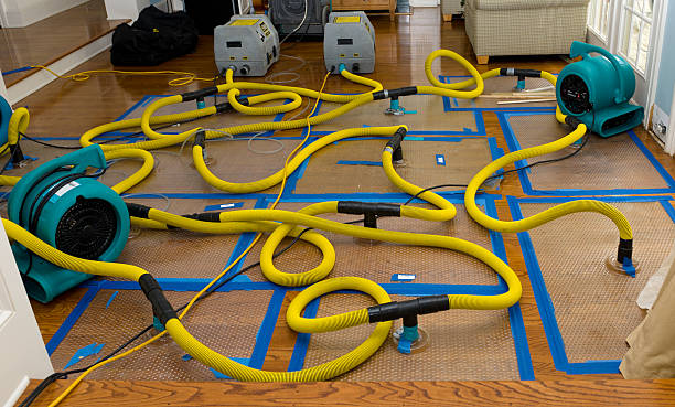 Professional Crawl Space Water Removal technician working in South Houston, TX